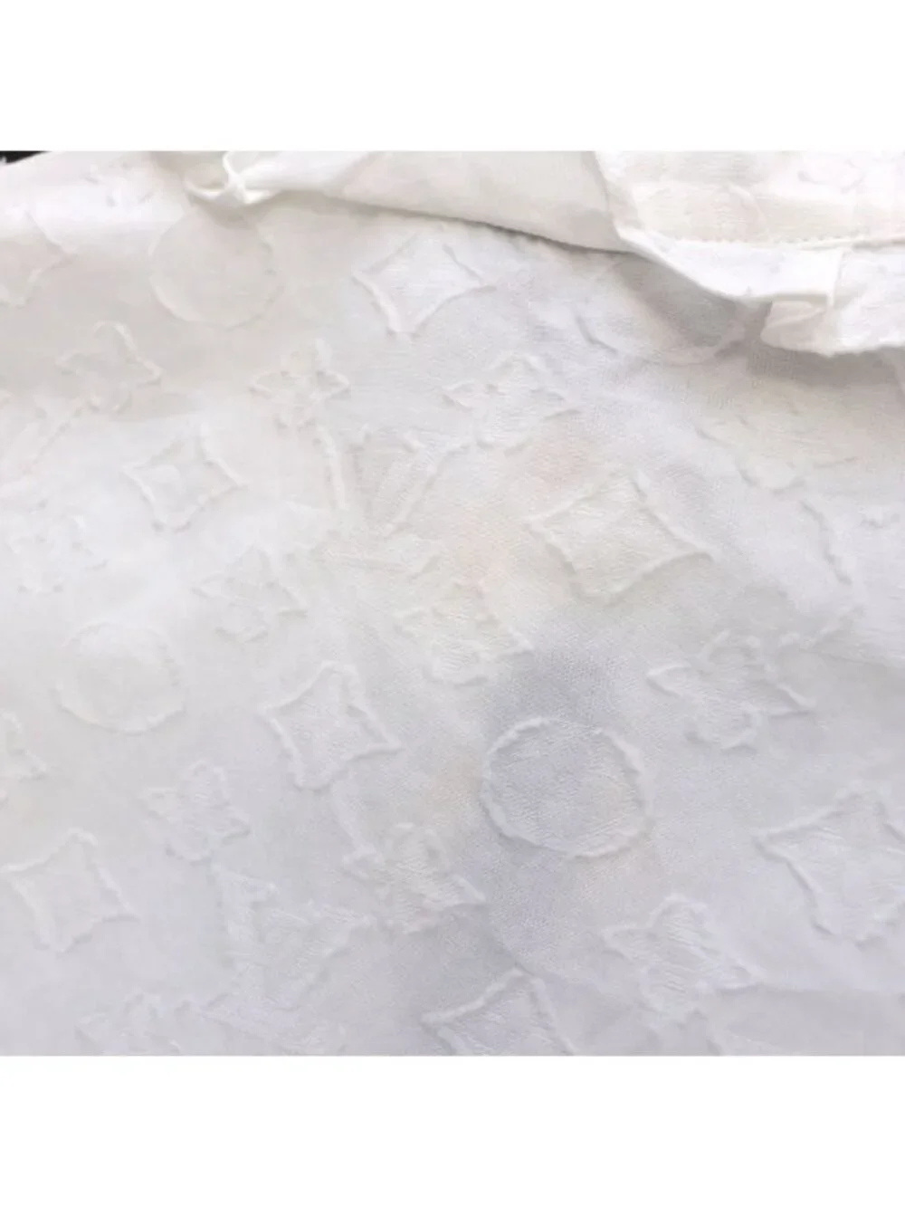 Louis Vuitton brand louis